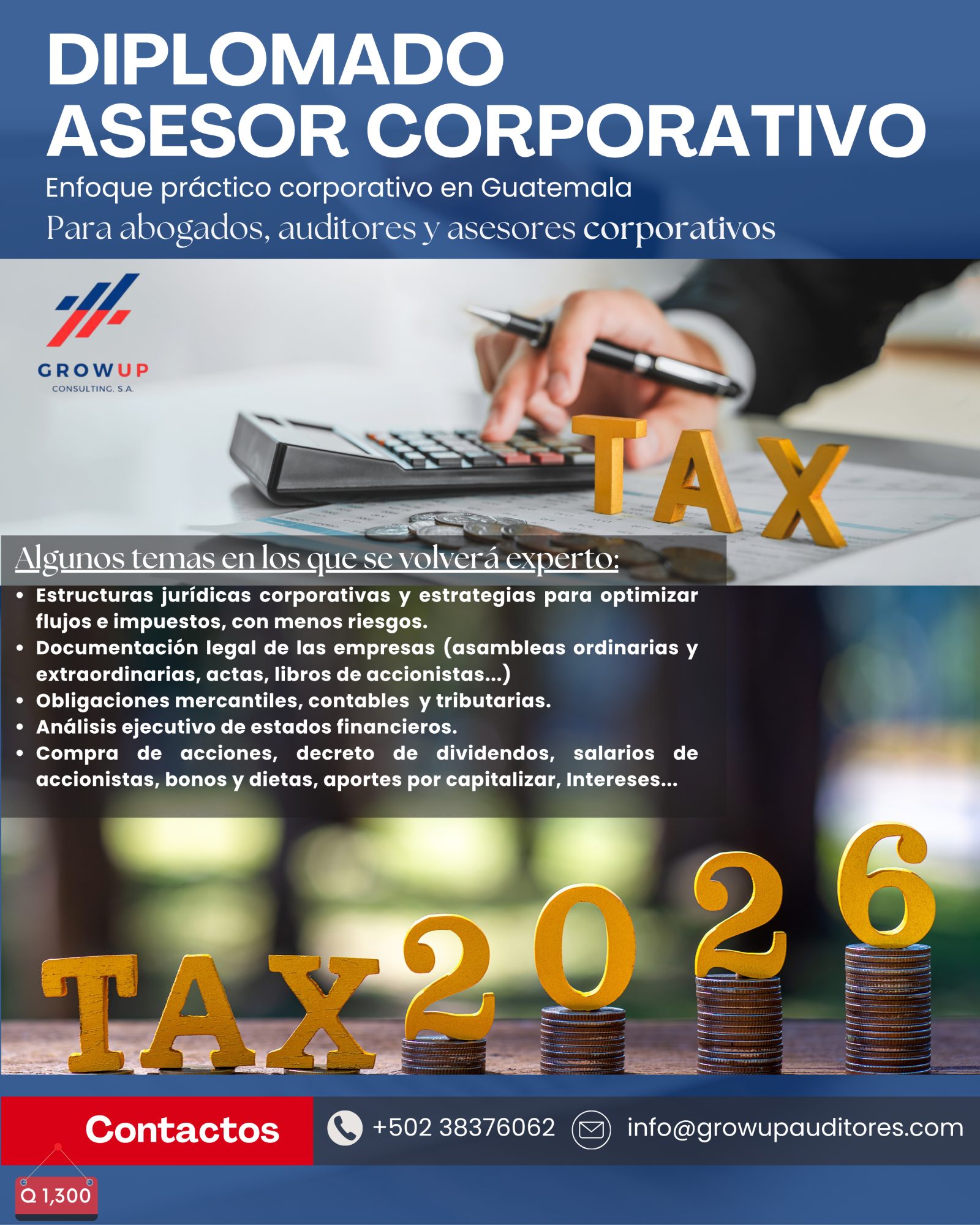 Diplomado en Asesoría Corporativa - Volumen I